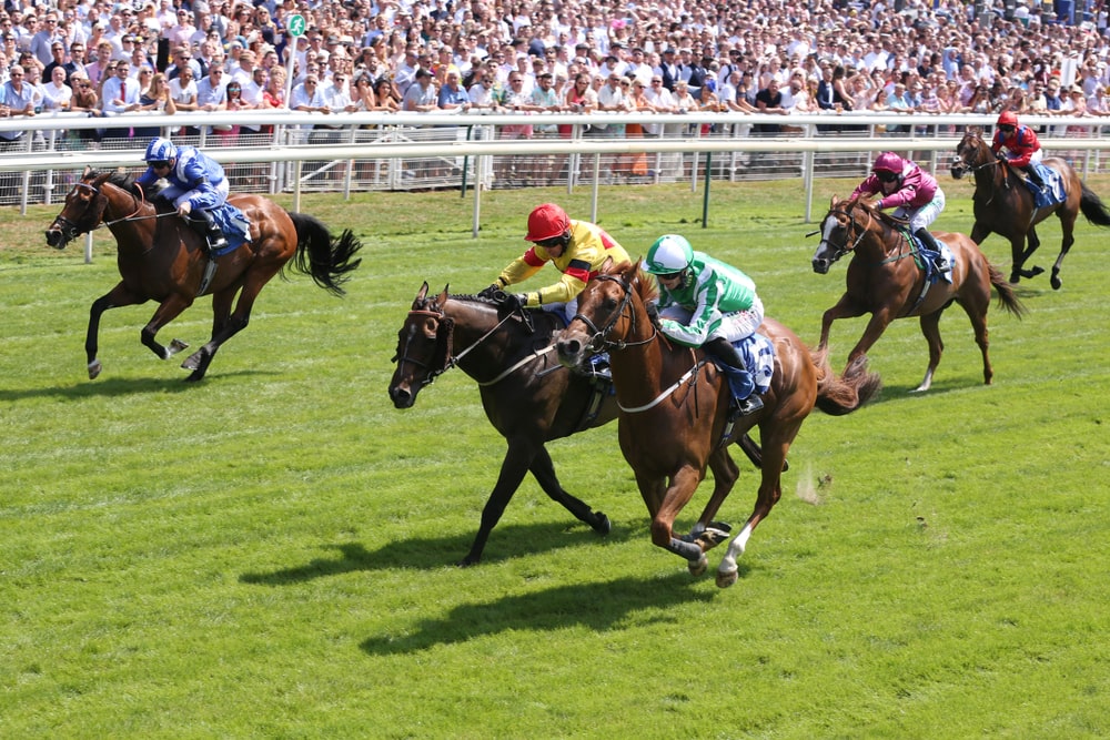 Horses racing to a close finish at a UK racecourse