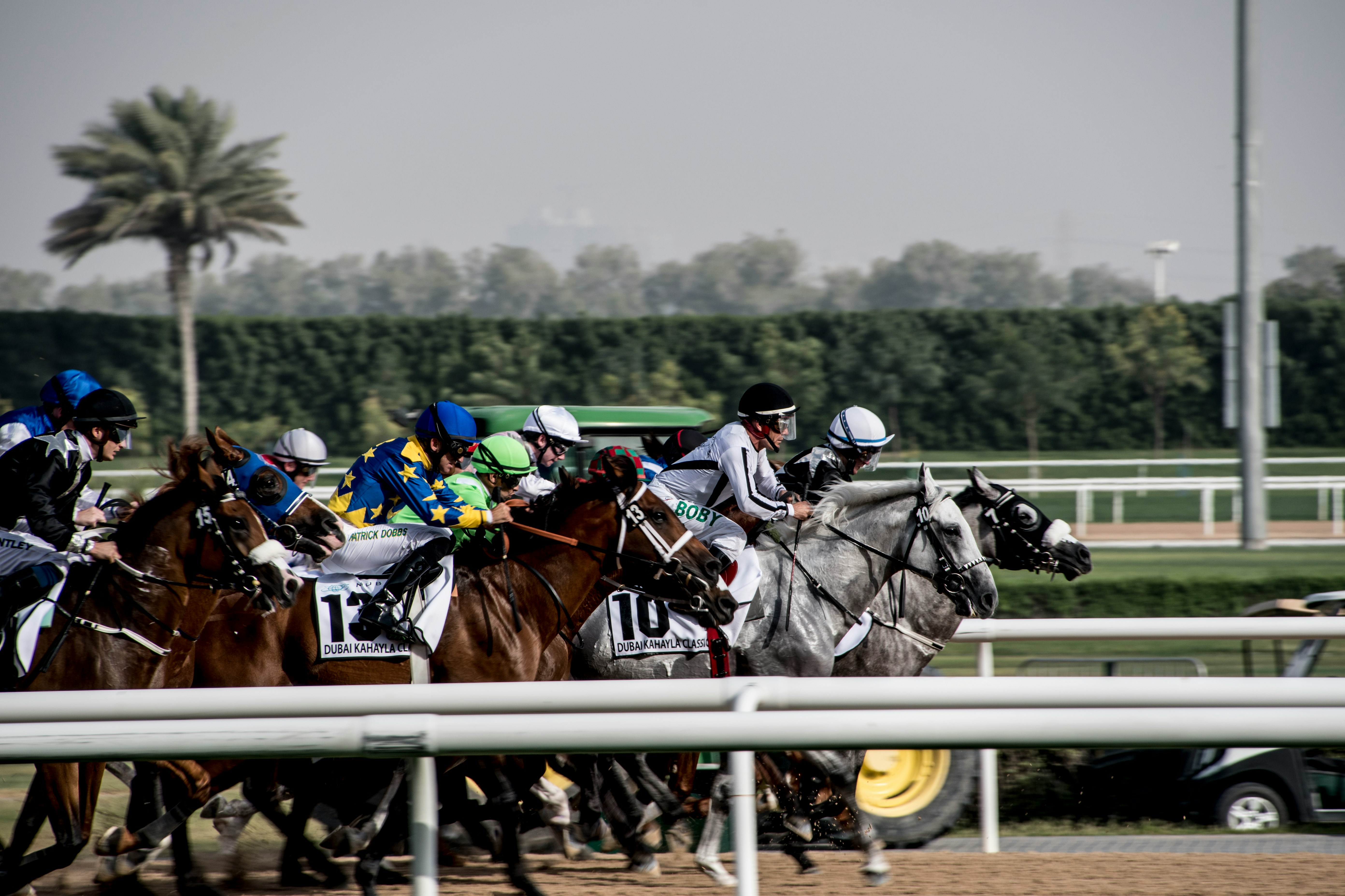 Horse jockeys on the field for racing