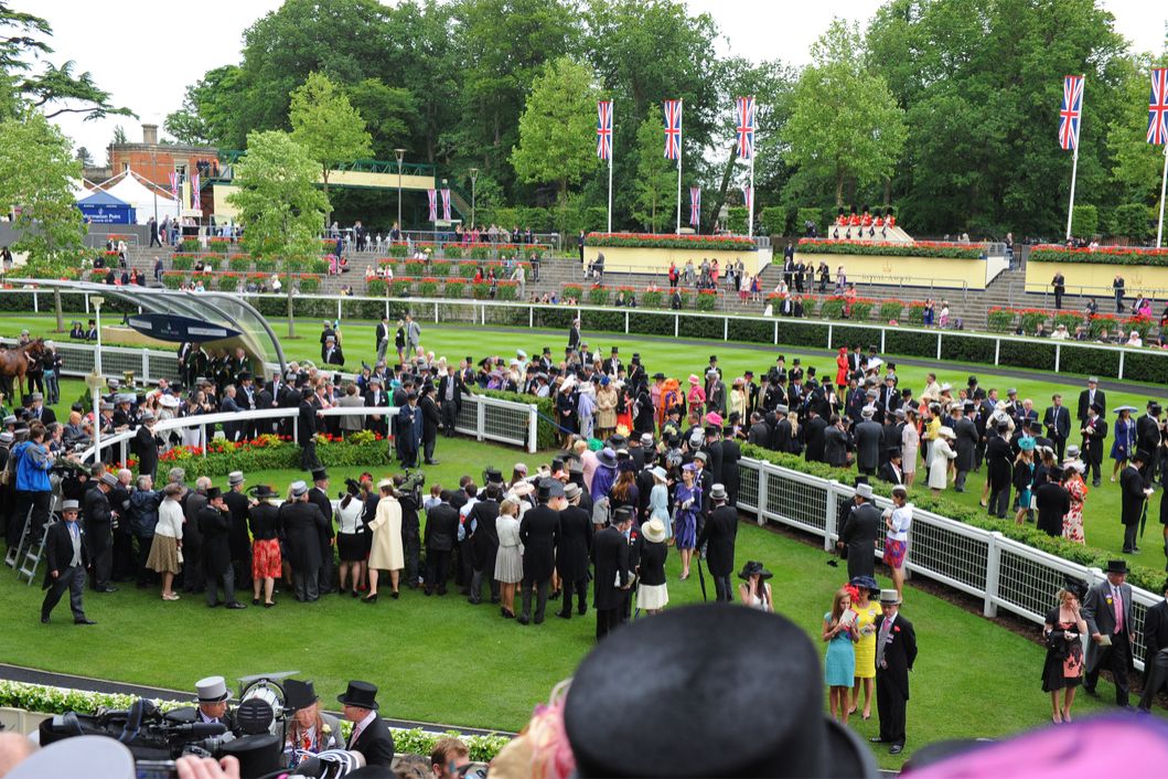 Ascot Ascot