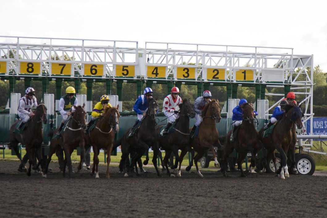 Lingfield Park Lingfield Park
