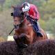 Value Odds Racing Analyst