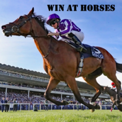 Win at Horses
